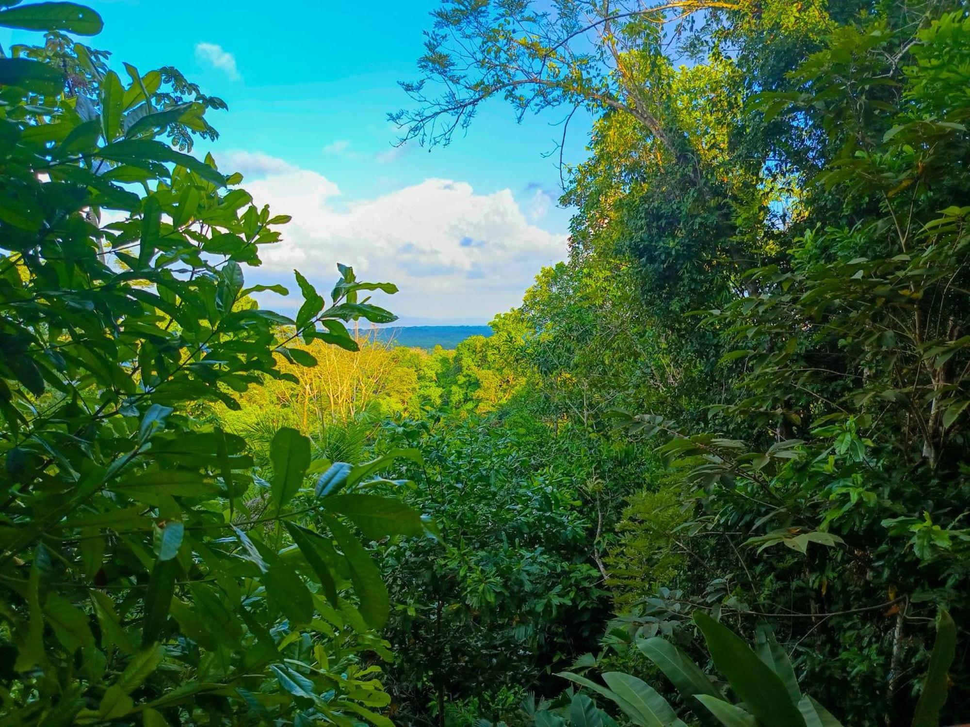 Osa Private Renting House-Villas-Tented-Best Views-Nature-Comfort Пуерот-Хіменес Екстер'єр фото